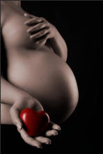 Babybauch Schwangerschaft Herz Fotograf Bremen